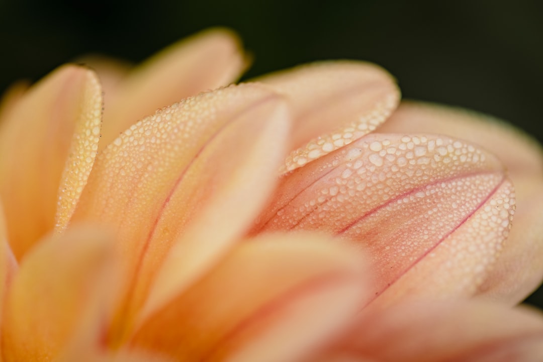 Confidence & Self-Esteem — clinical hypnotherapy