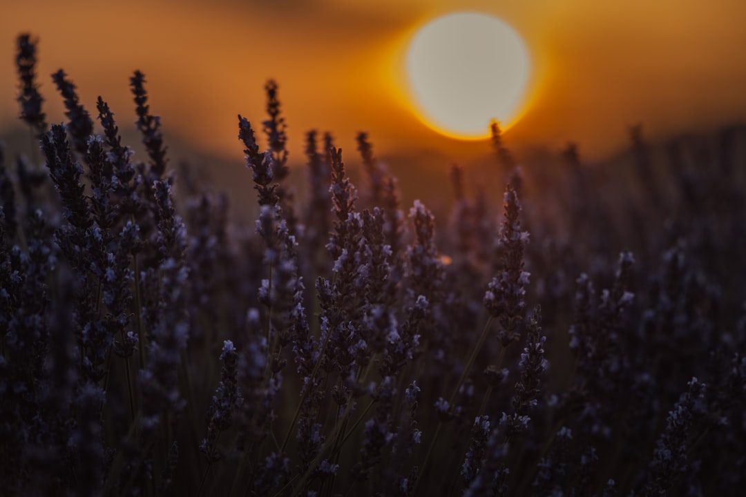 Relationship Challenges — clinical hypnotherapy